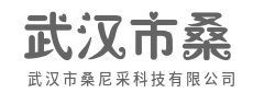 所有的复杂，都值得被简化-武汉市桑尼采科技有限公司
